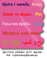 Folktandvårdens affisch med sexton språk